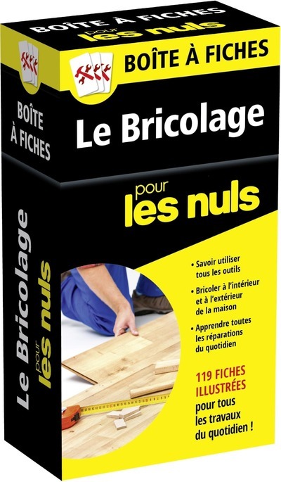 Kniha Boîte à fiches Le bricolage Pour les Nuls Frank Lecor