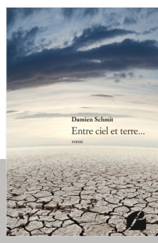 Libro Entre ciel et terre... Damien Schmit