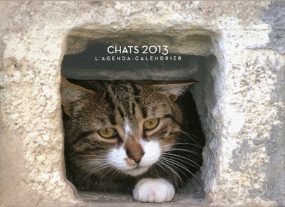 Knjiga L'agenda-Calendrier Chats 2013 collegium