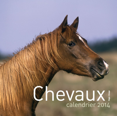 Knjiga Calendrier mural Chevaux 2014 collegium