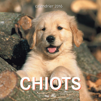 Knjiga Calendrier mural Chiots 2016 collegium