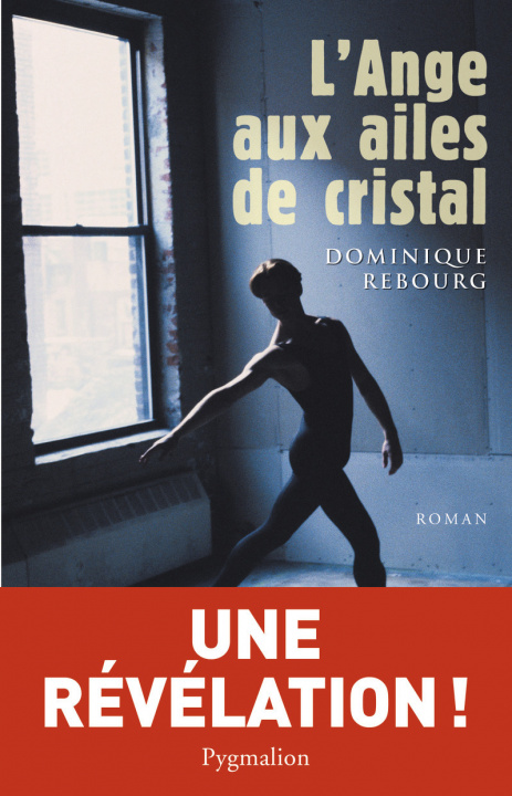 Boek L'Ange aux ailes de cristal Rebourg