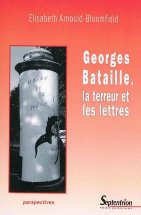 Book Georges Bataille, la terreur et les lettres Arnould-Bloomfield