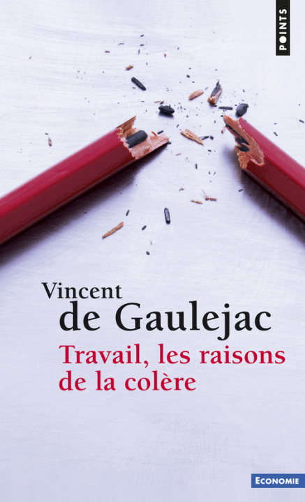 Buch Travail, les raisons de la colère Vincent de Gauléjac