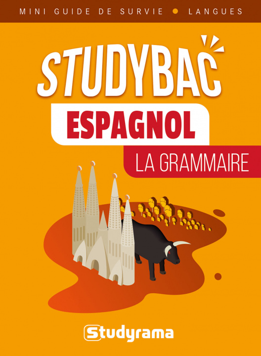 Knjiga Espagnol : La grammaire collegium