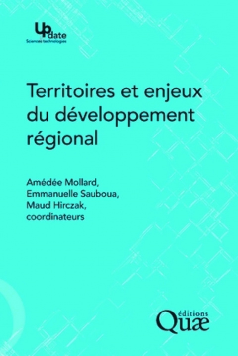 Kniha Territoires et enjeux du développement régional Hirczak