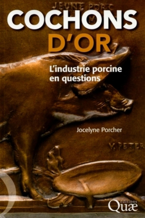 Knjiga Cochons d'or Porcher
