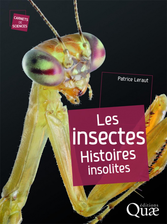 Kniha Les insectes Leraut