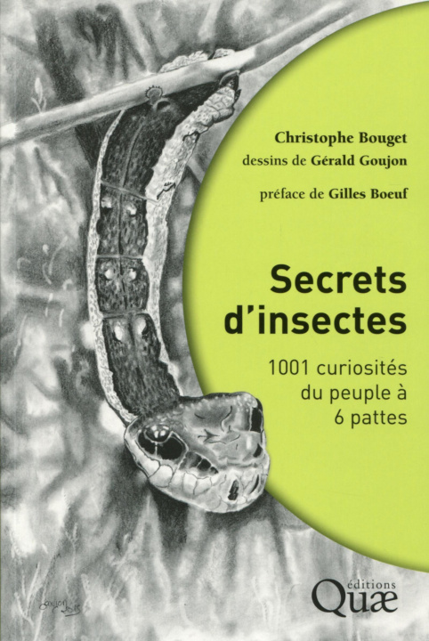 Book Secrets d'insectes Goujon