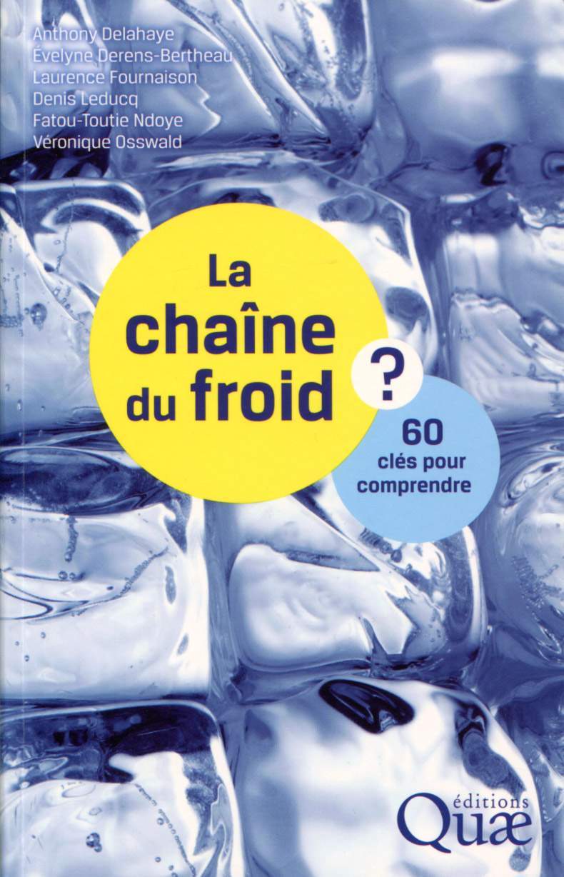 Książka La chaîne du froid Ndoye