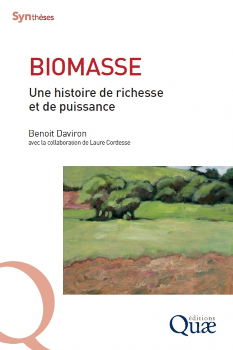 Kniha Biomasse Cordesse