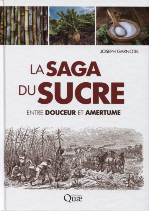 Kniha La saga du sucre Garnotel