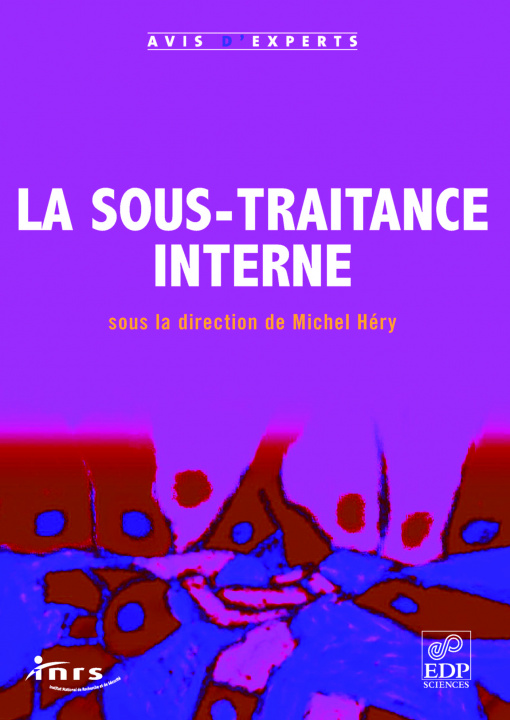 Book La Sous Traitance Interne Héry
