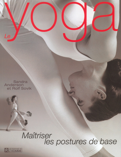 Kniha LE YOGA MAITRISER LES POSTURES DE BASE Sandra Anderson