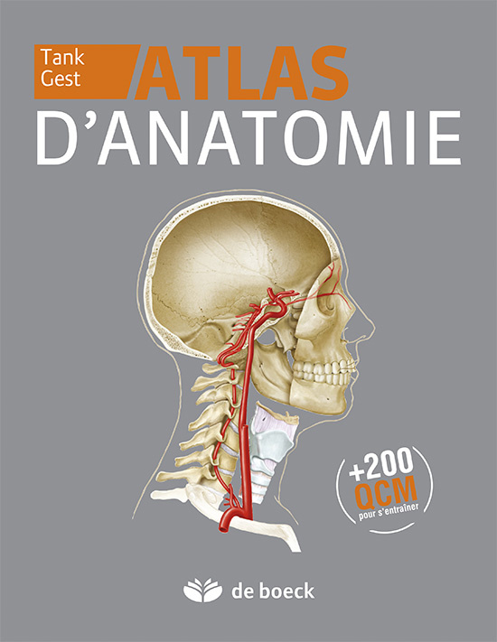 Carte Atlas d'anatomie GEST