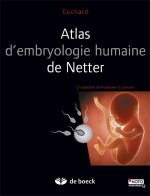 Kniha Atlas d'embryologie humaine de Netter NETTER