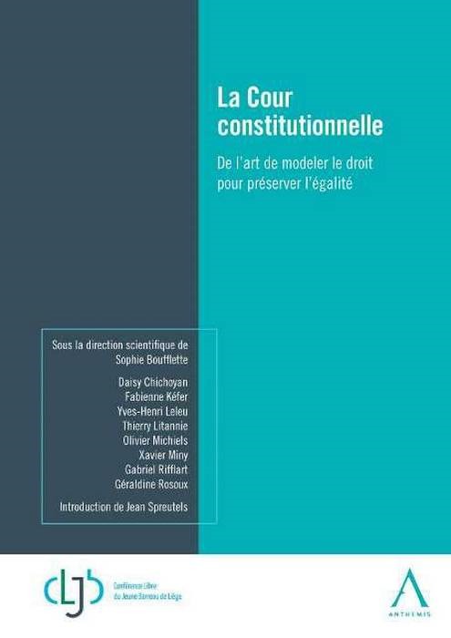 Knjiga LA COUR CONSTITUTIONNELLE Bouflette s.