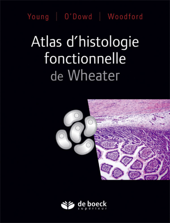 Kniha Atlas d'histologie fonctionnelle de Wheater O'DOWD