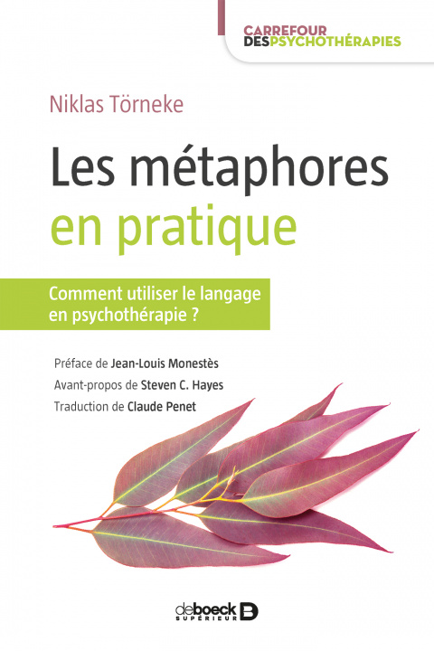Book Les métaphores en pratique TORNEKE