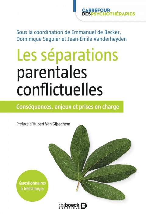 Kniha Les séparations parentales conflictuelles Vanderheyden