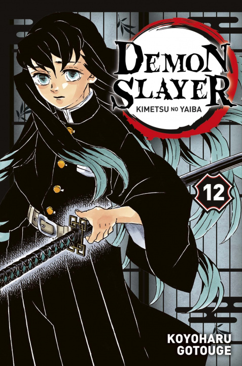 Kniha Demon Slayer T12 Koyoharu Gotouge