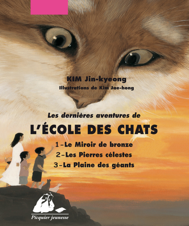 Knjiga LES DERNIERES AVENTURES DE L'ECOLE DES CHATS intégral Jin-kyeong KIM