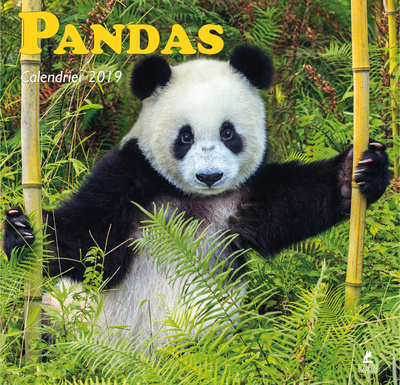 Knjiga Pandas - Calendrier 2019 collegium