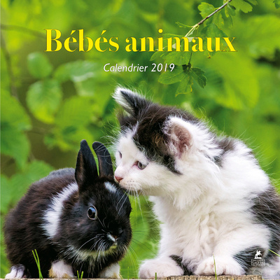 Knjiga Bébés animaux - Calendrier 2019 collegium