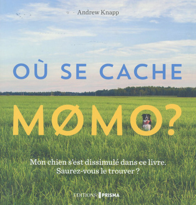 Knjiga Où se cache Momo ? Andrew Knapp