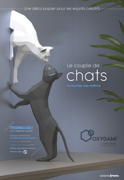 Knjiga Oxygami Chats collegium
