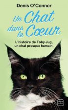 Könyv Un chat dans le coeur Denis O'Connor