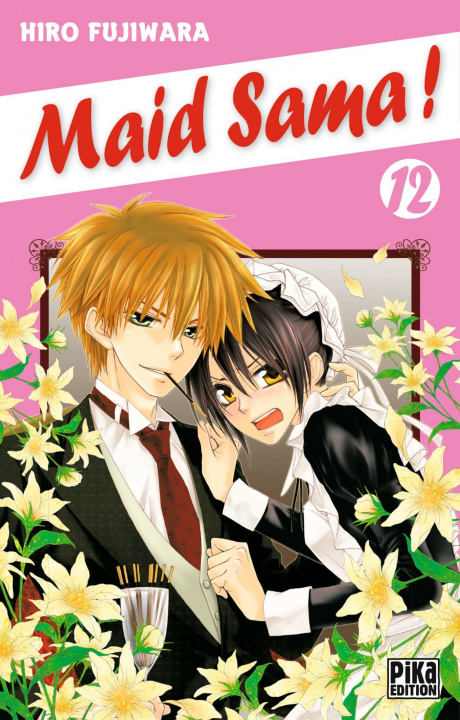 Könyv Maid Sama ! T12 