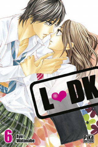 Knjiga LDK T06 
