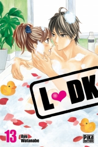 Knjiga LDK T13 
