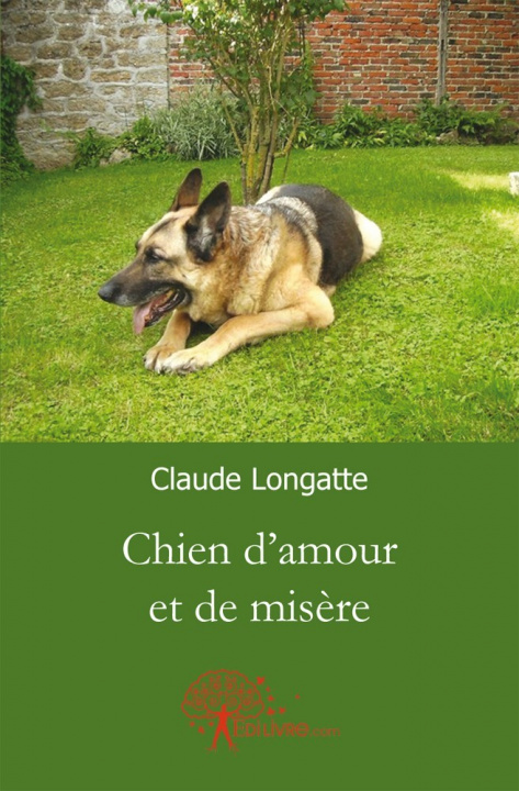 Buch Chien d'amour et de misère Longatte