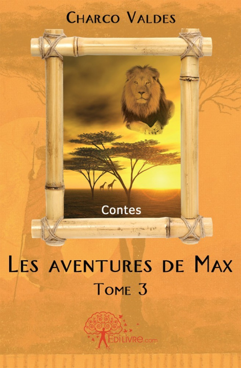 Kniha Les aventures de max Valdes