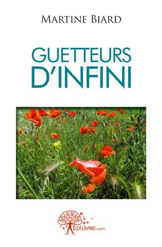 Kniha Guetteurs d'infini Biard