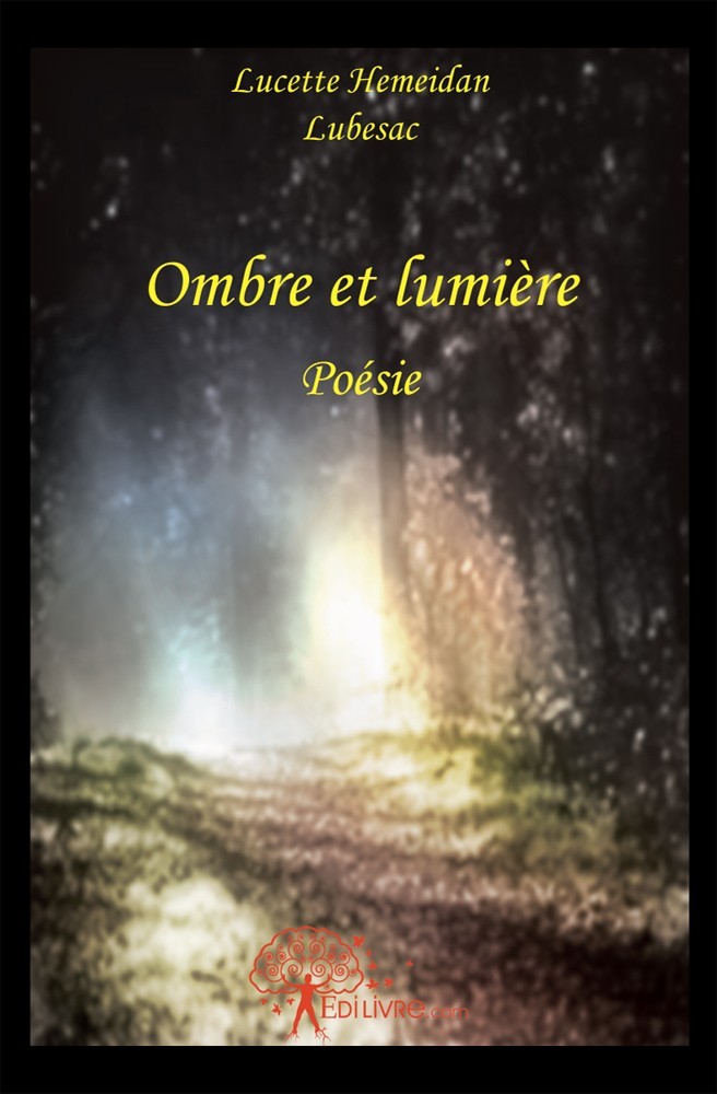 Buch Ombre et lumière Lubesac