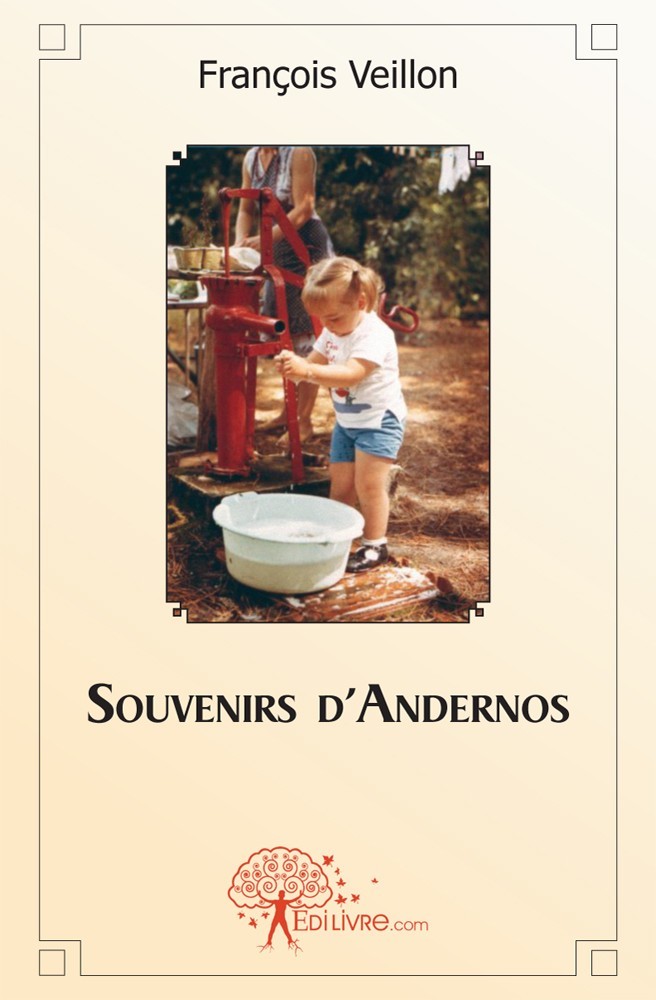 Kniha Souvenirs d'andernos Veillon