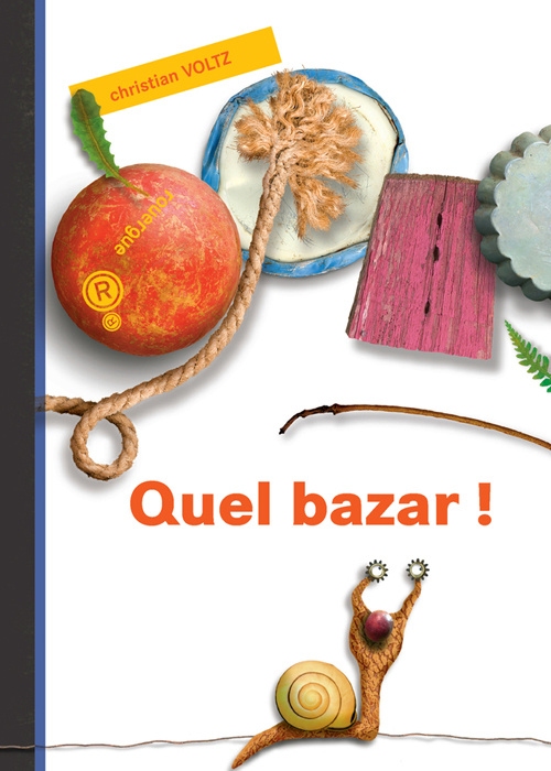 Knjiga quel bazar ! Voltz christian