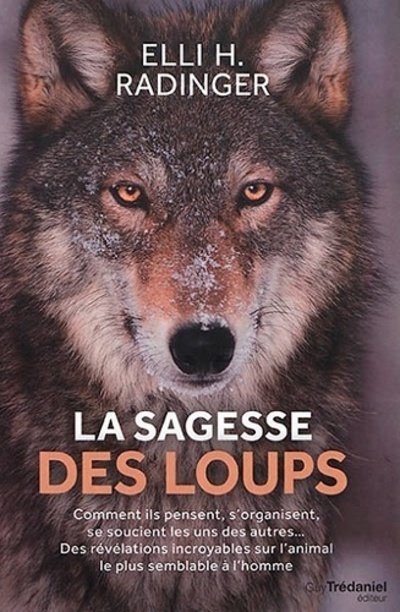 Kniha La sagesse des loups Elli H. Radinger