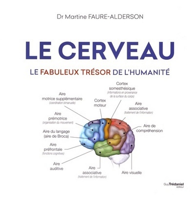 Kniha Le cerveau - Le fabuleux trésor de l'humanité Martine Faure-Alderson