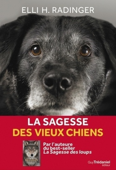 Kniha La sagesse des vieux chiens Elli H. Radinger