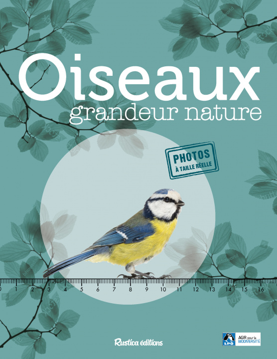 Kniha Oiseaux grandeur nature Guilhem Lesaffre