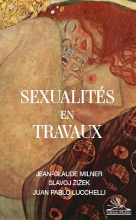 Kniha Sexualités en travaux Lucchelli
