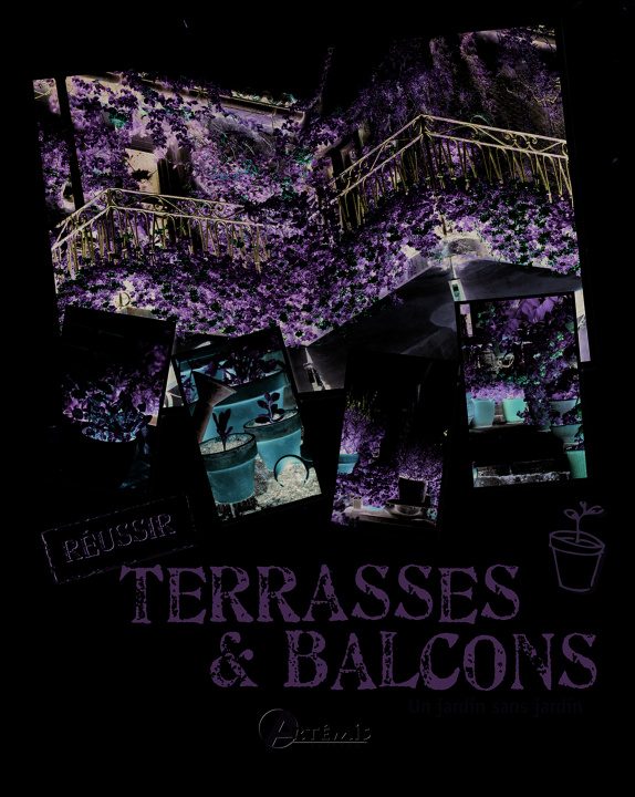 Книга Terrasses & balcons : un jardin sans jardin Delvaille