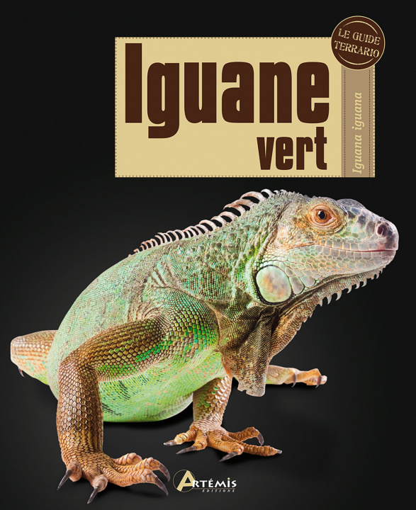 Kniha Iguane vert Britton