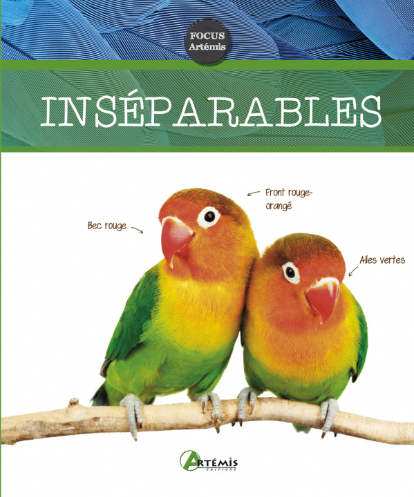 Knjiga Inséparables Schmidt-Röger