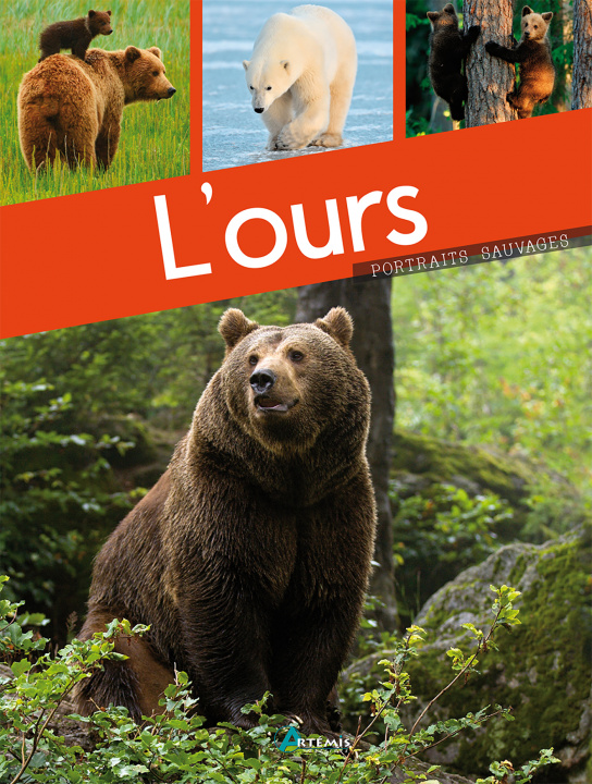Book L'ours Dupérat