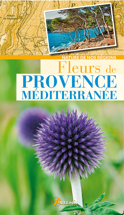 Buch Fleurs de Provence-Méditerranée 